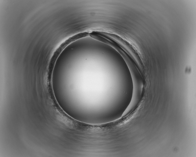 X0000091370880200708101530