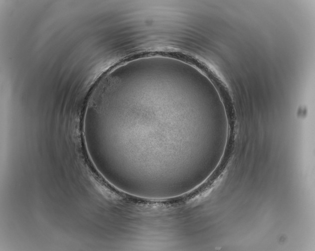 X0000091370881200708101530