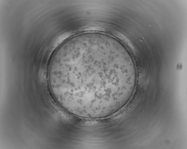 X0000091370882200708101530