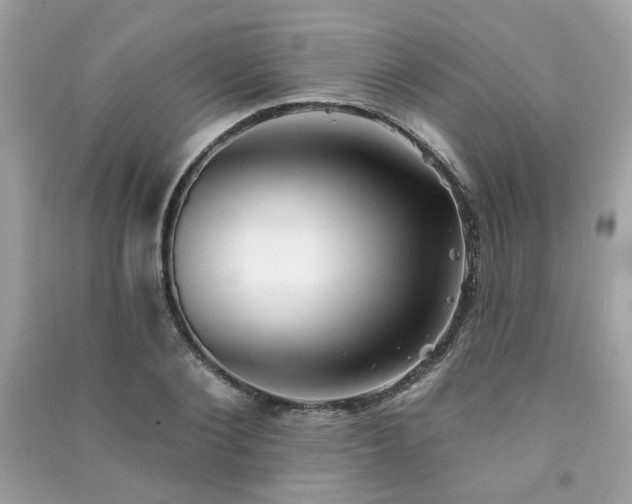 X0000091370884200708101530