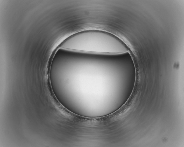 X0000091370885200708101530