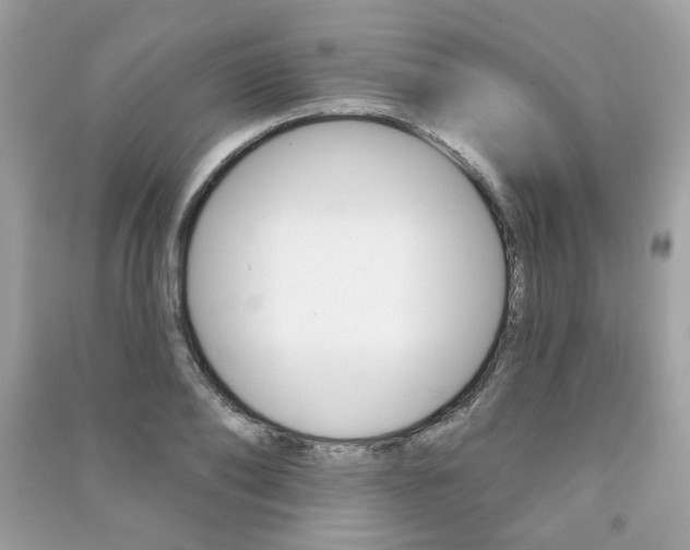 X0000091370886200708101530