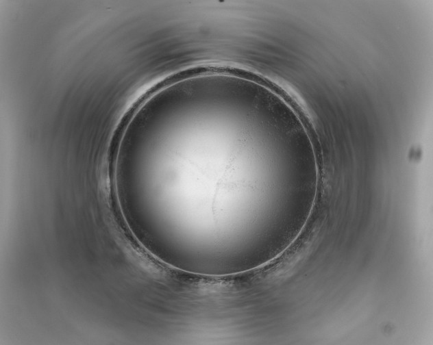 X0000091370887200708101530