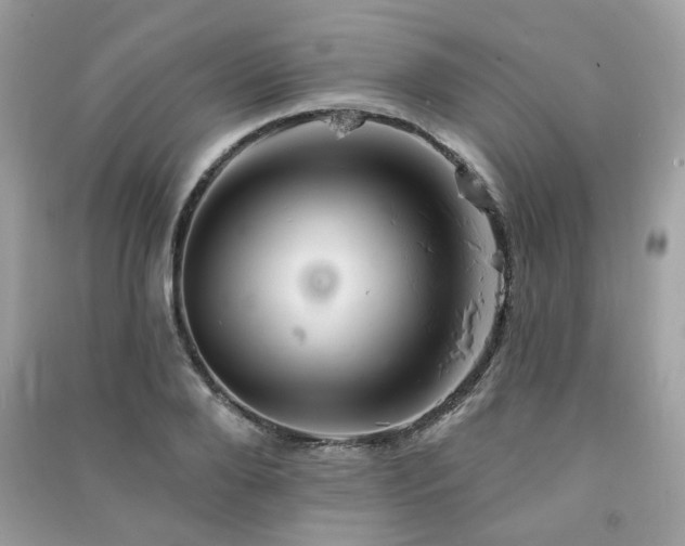 X0000091370888200708101530