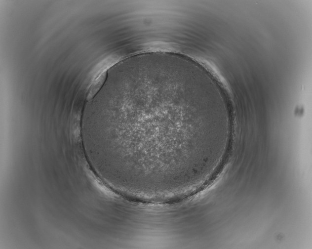 X0000091370889200708101530