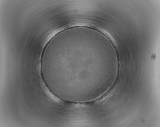 X0000091370890200708101530