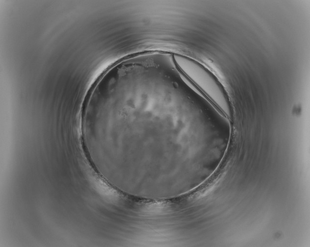 X0000091370891200708101530