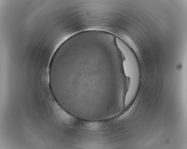 X0000091370892200708101530