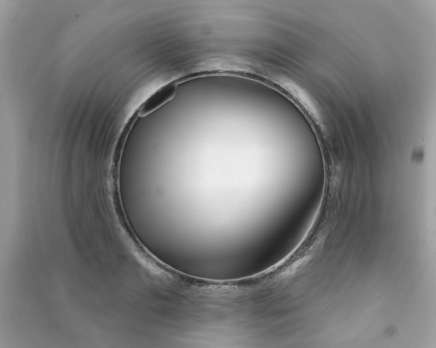 X0000091370893200708101530