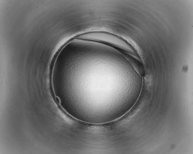 X0000091370894200708101530