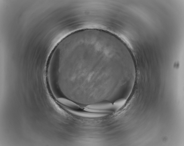 X0000091370895200708101530