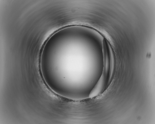 X0000091370896200708101530