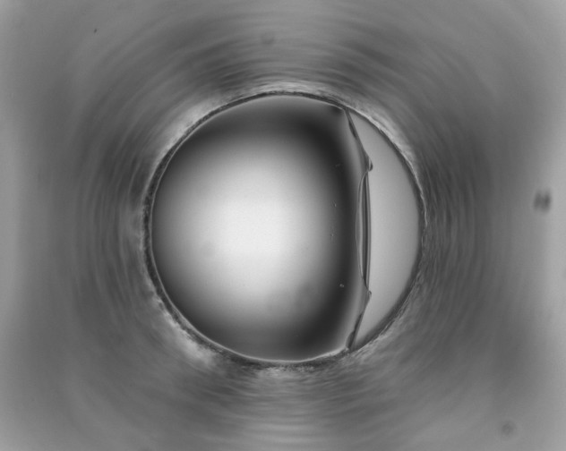 X0000091370898200708101530