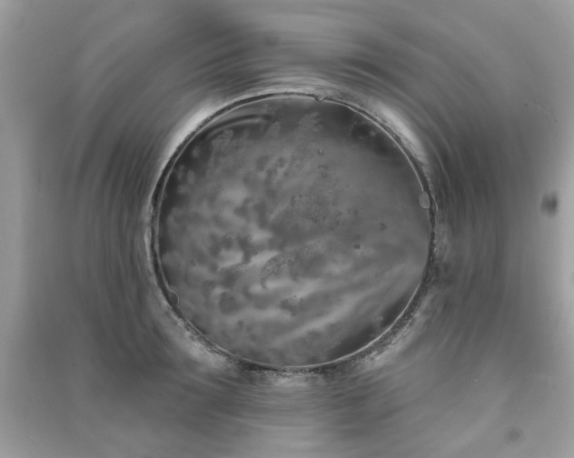 X0000091370899200708101530