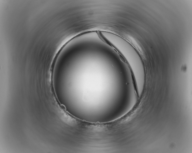 X0000091370900200708101530