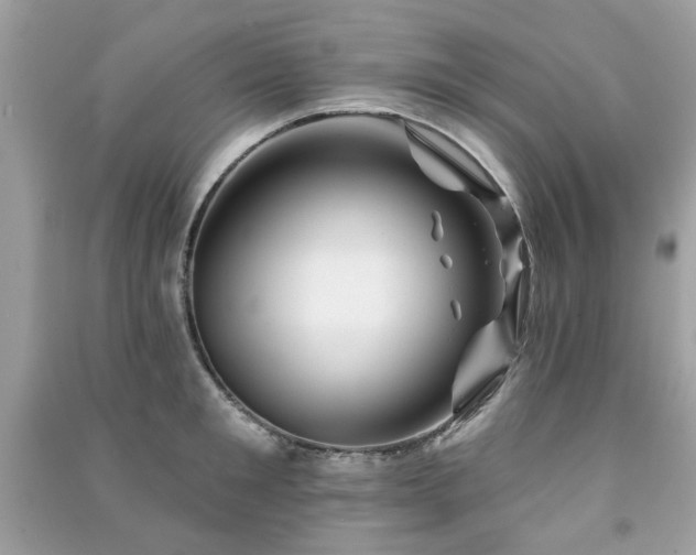 X0000091370901200708101530