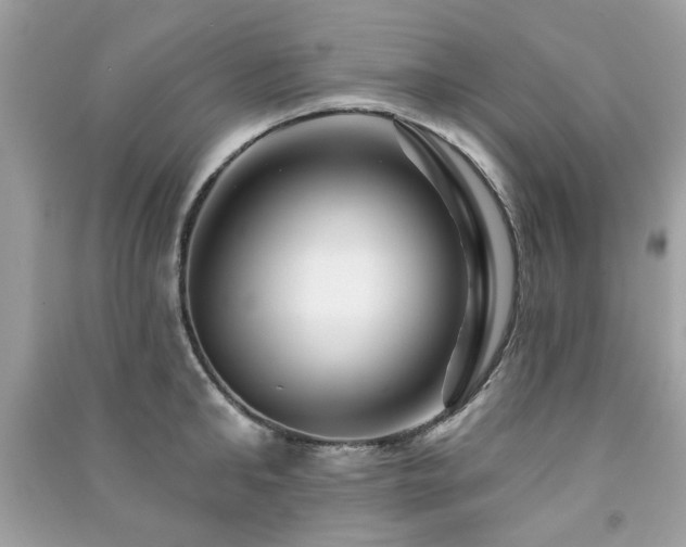 X0000091370902200708101530