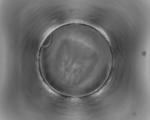 X0000091370903200708101530