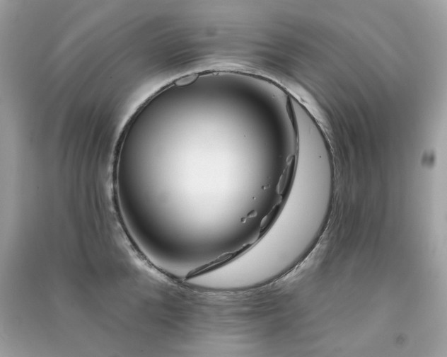 X0000091370904200708101530