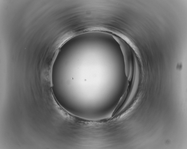 X0000091370905200708101530