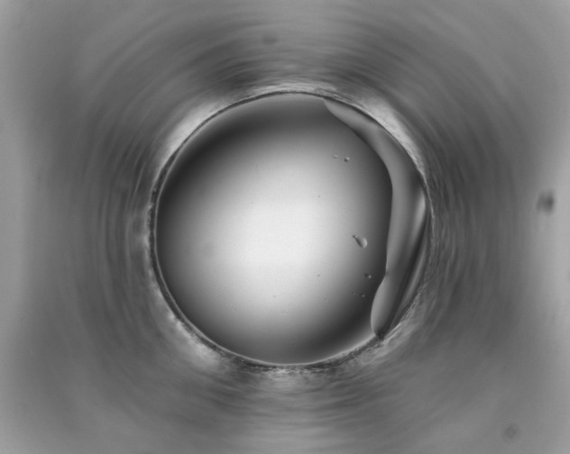 X0000091370906200708101530