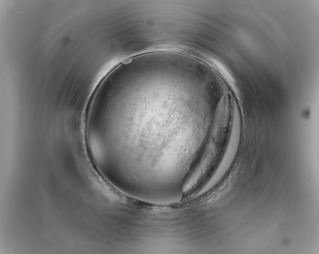 X0000091370907200708101530