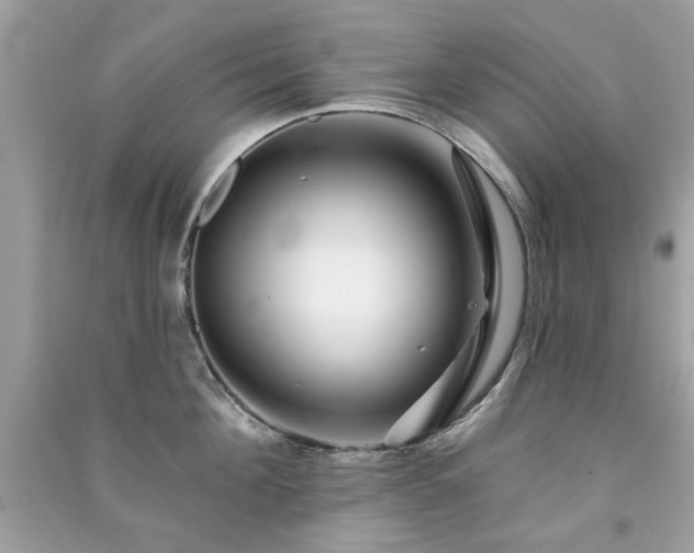 X0000091370908200708101530