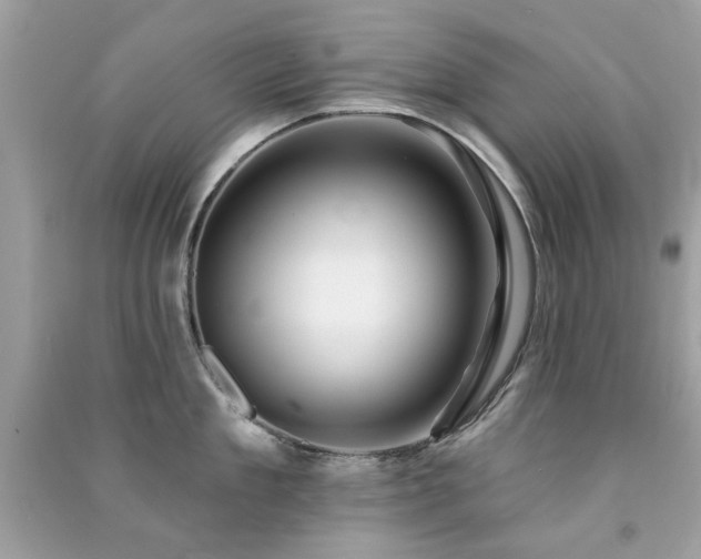 X0000091370909200708101530