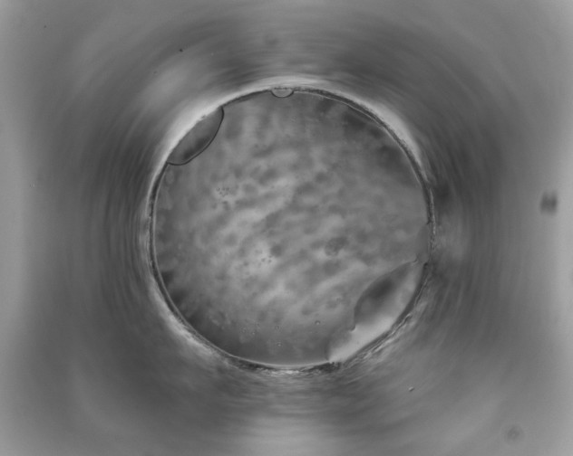 X0000091370911200708101530