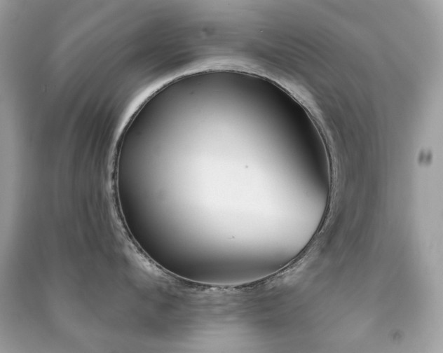 X0000091370912200708101530