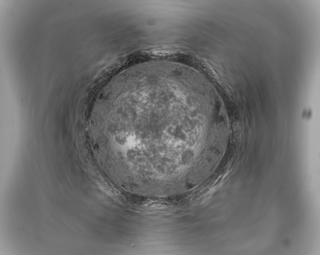 X0000091370913200708101529