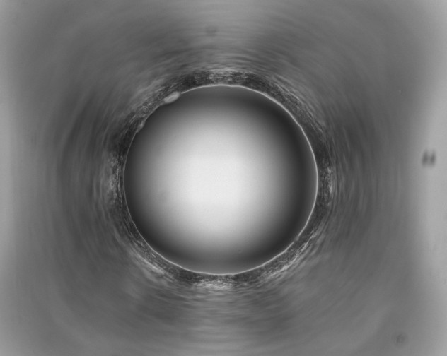 X0000091370914200708101529