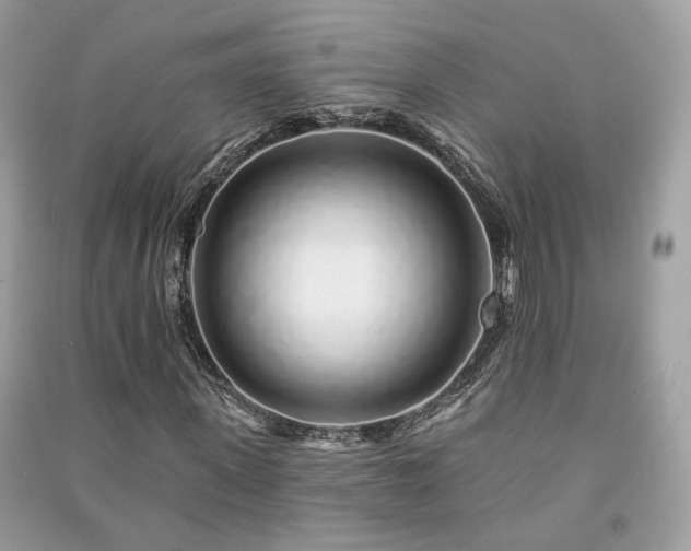 X0000091370915200708101529