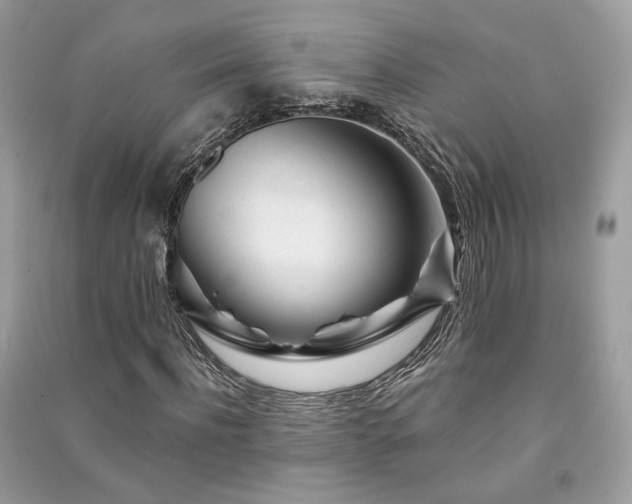 X0000091370916200708101529