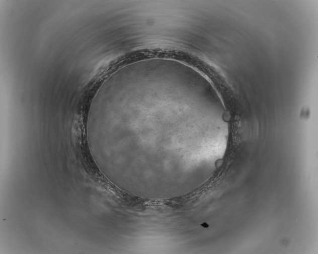 X0000091370918200708101529