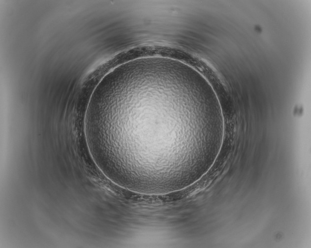 X0000091370919200708101529