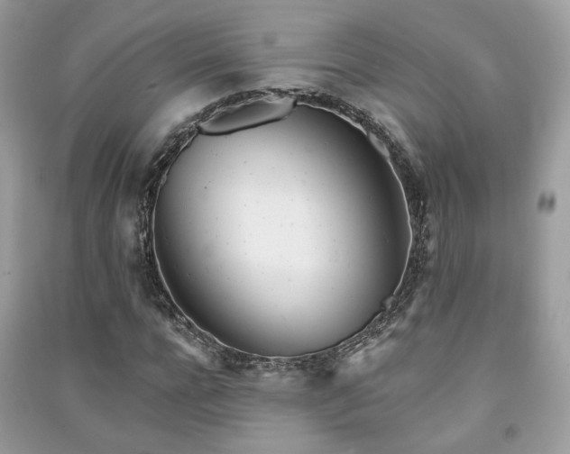 X0000091370920200708101529