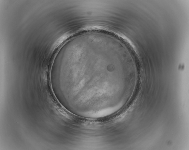 X0000091370921200708101529