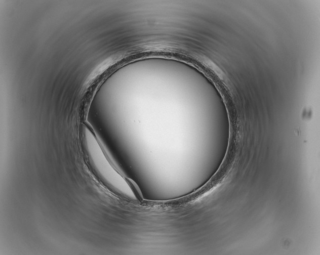 X0000091370922200708101529