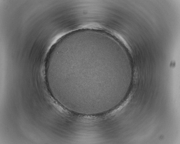 X0000091370923200708101529