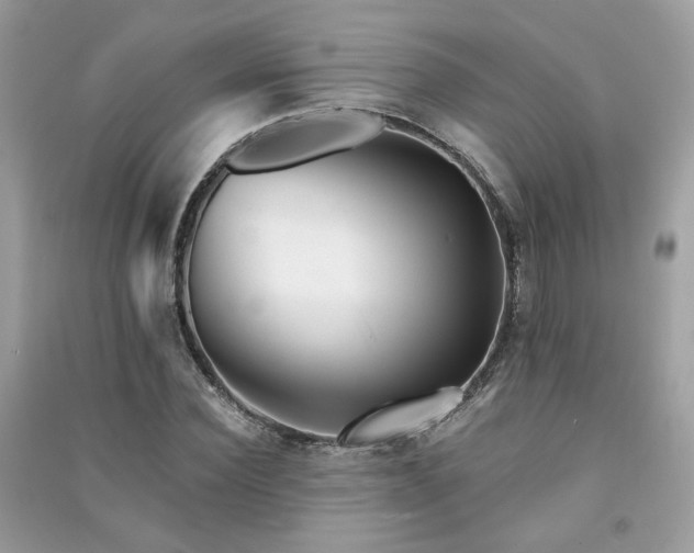 X0000091370924200708101529