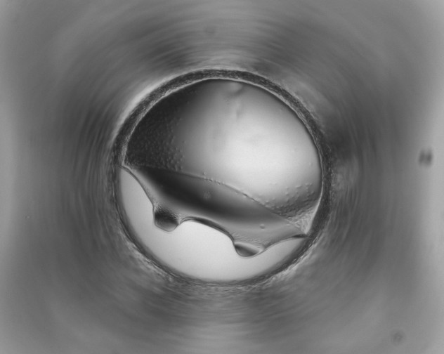 X0000091370926200708101529