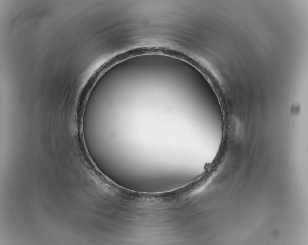 X0000091370927200708101529