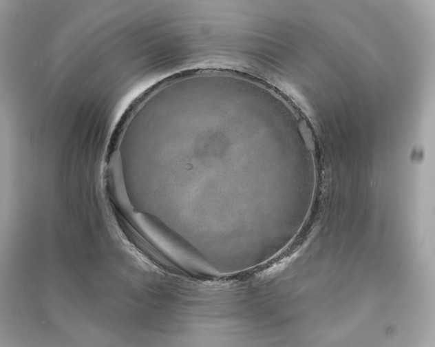 X0000091370928200708101529