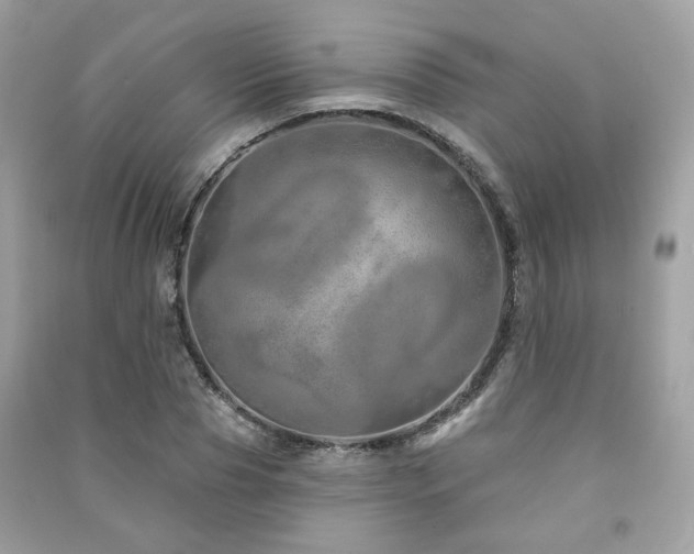 X0000091370929200708101529