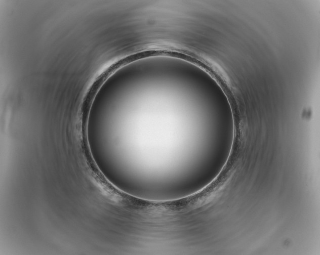 X0000091370931200708101529