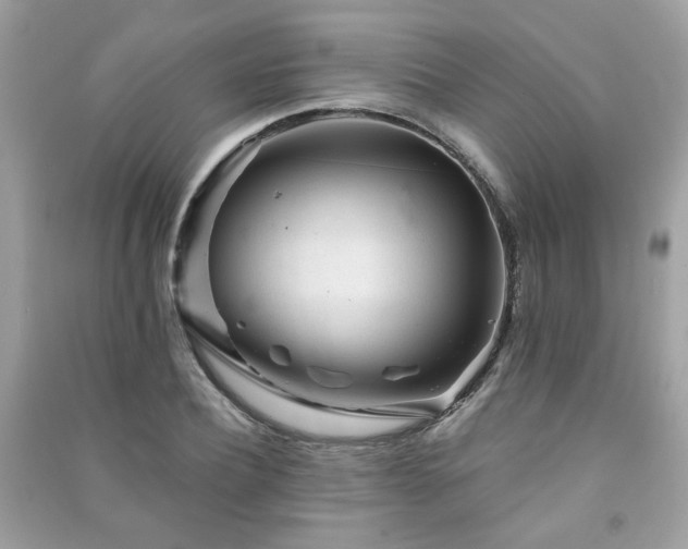 X0000091370932200708101529