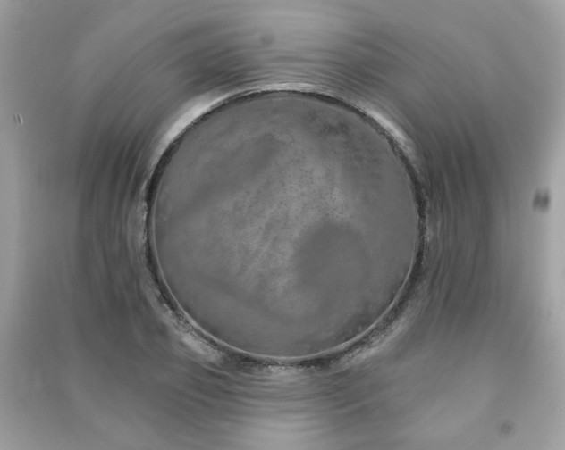 X0000091370933200708101529