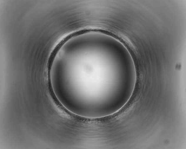 X0000091370934200708101529