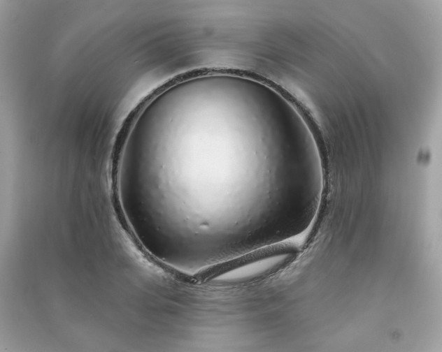 X0000091370935200708101529